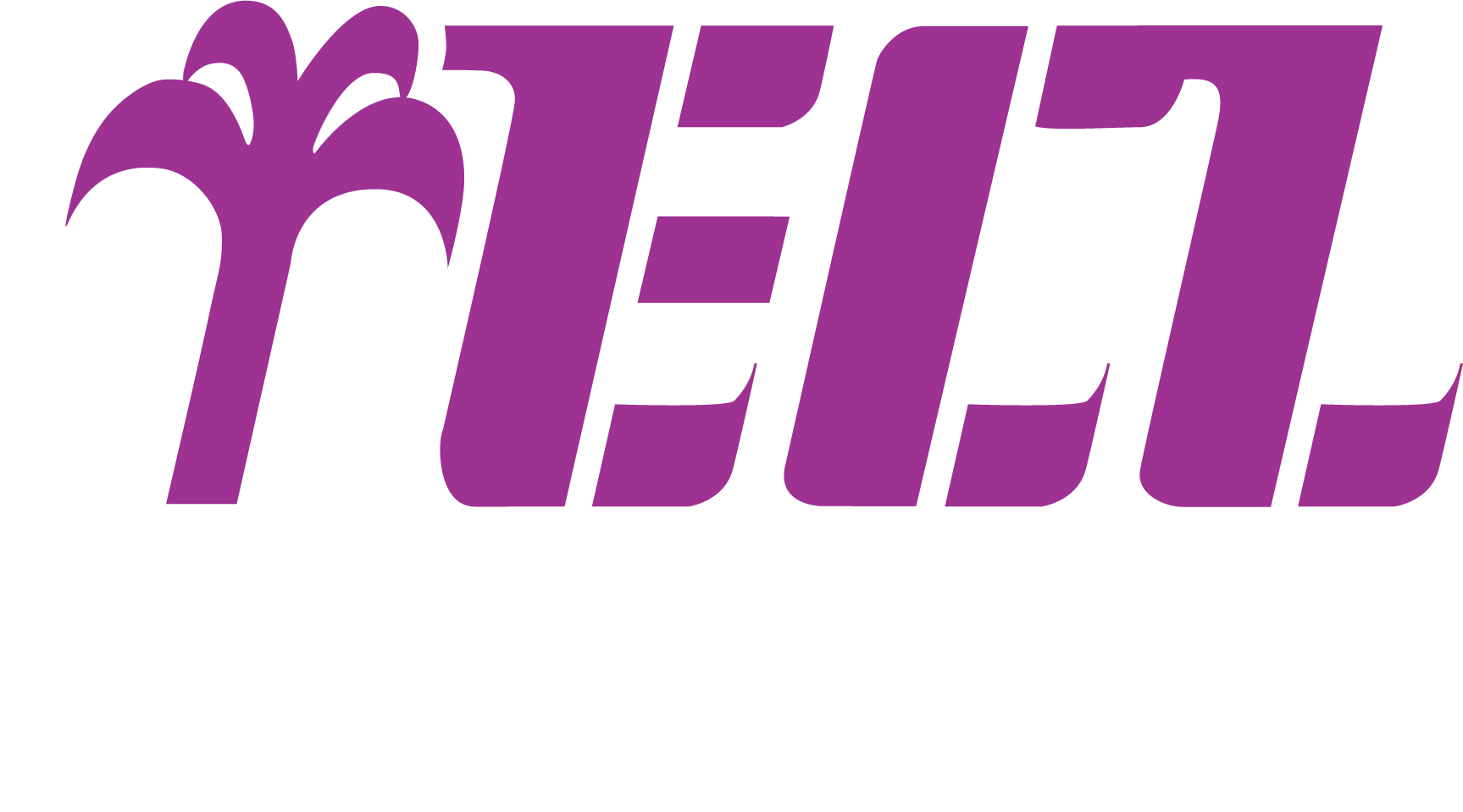 ecl, europe caribbean line, vertom group, vertom ecl, vertom caribbean, liner services